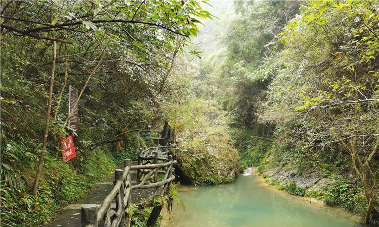 泰康:长寿时代康养领域前景广阔,拥抱新寿险,支持行业高质量发展转型
