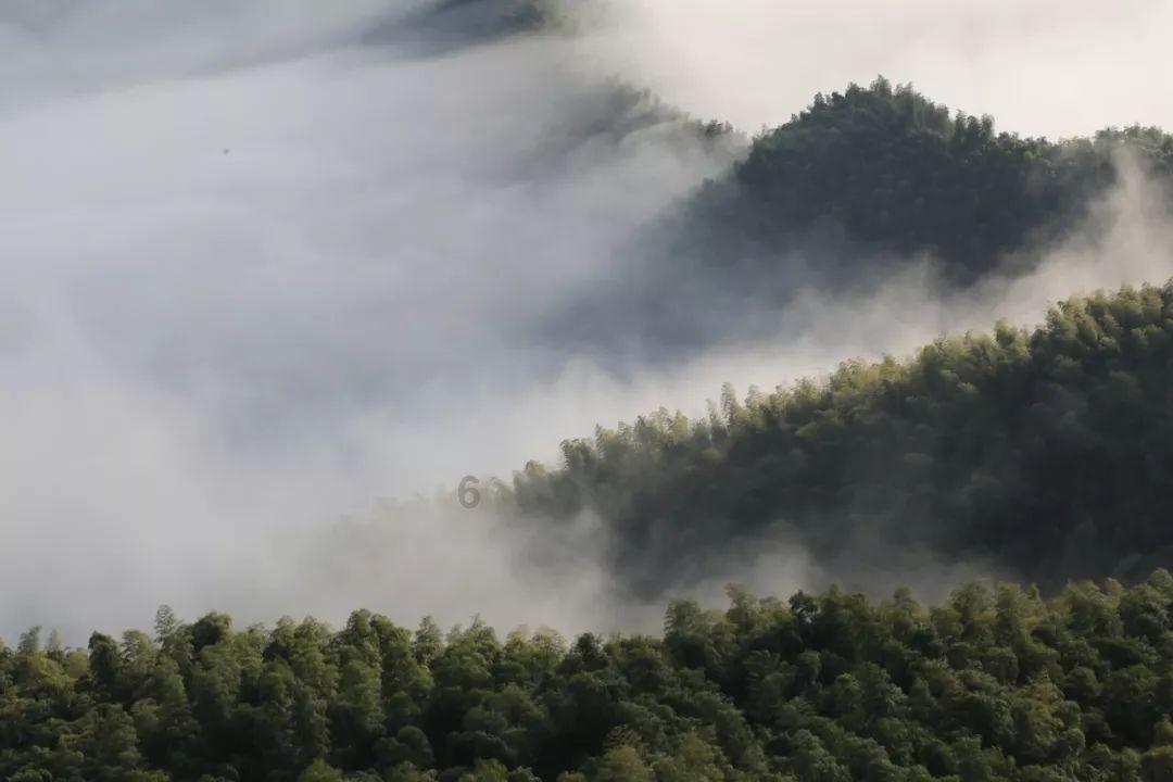 春雨直播app