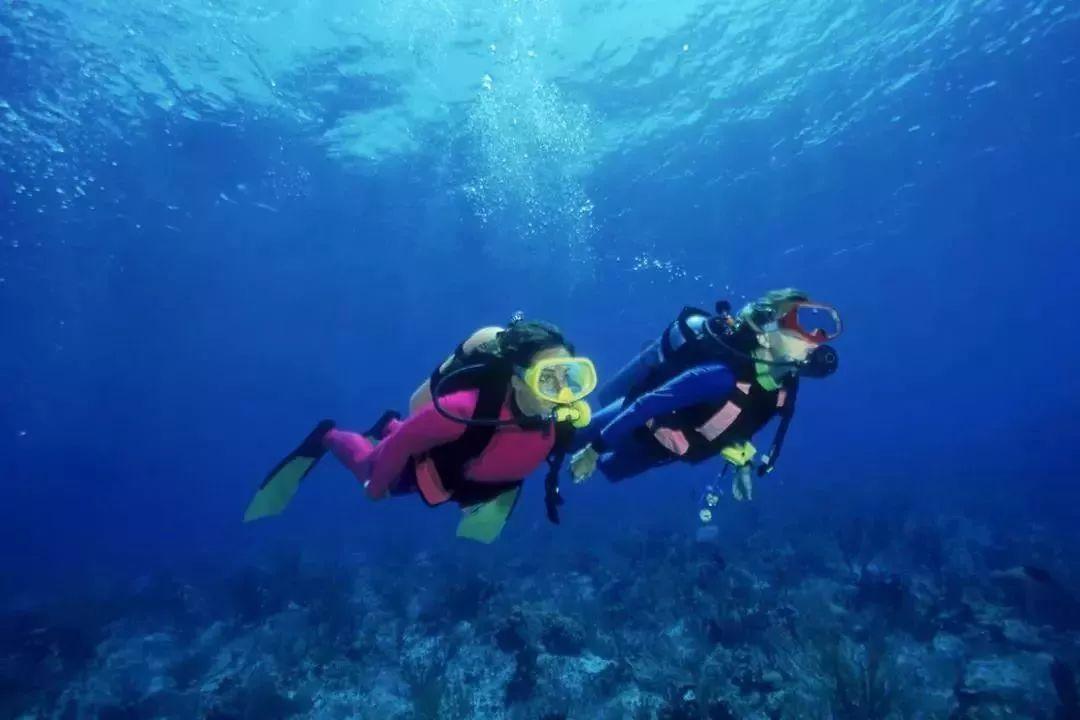 逃离整洁的储藏室
