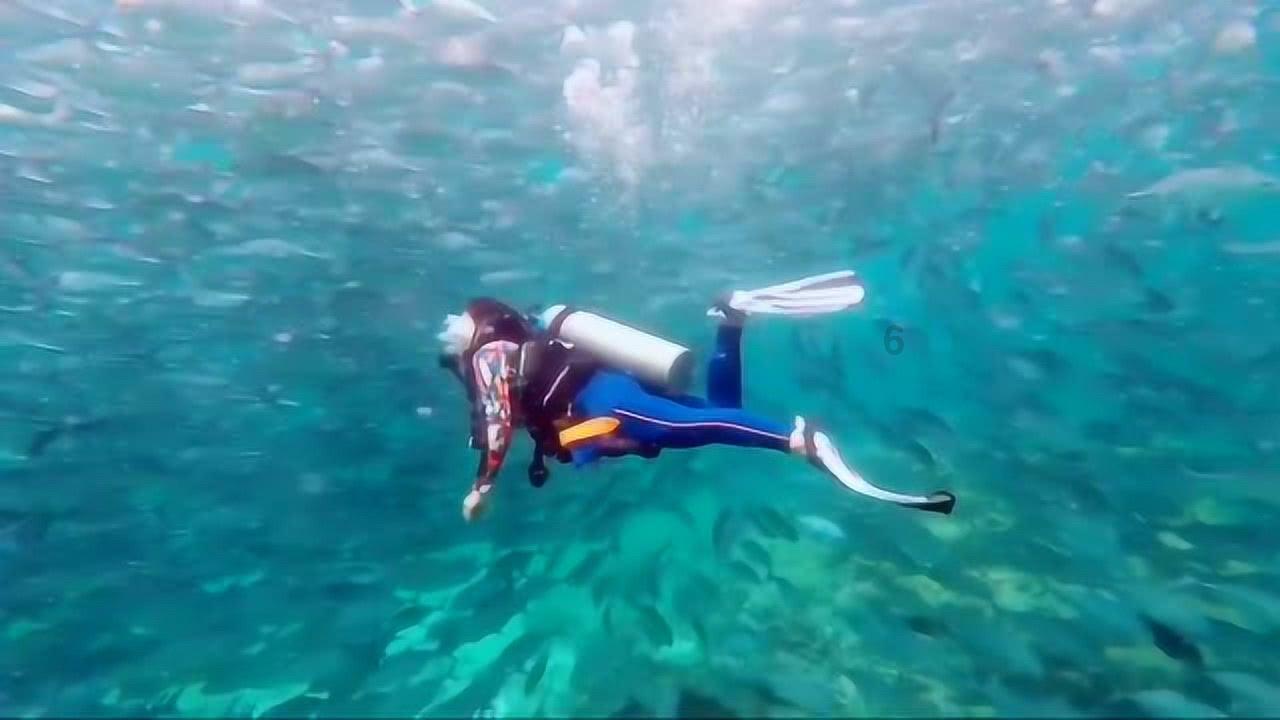 加勒比海度假村