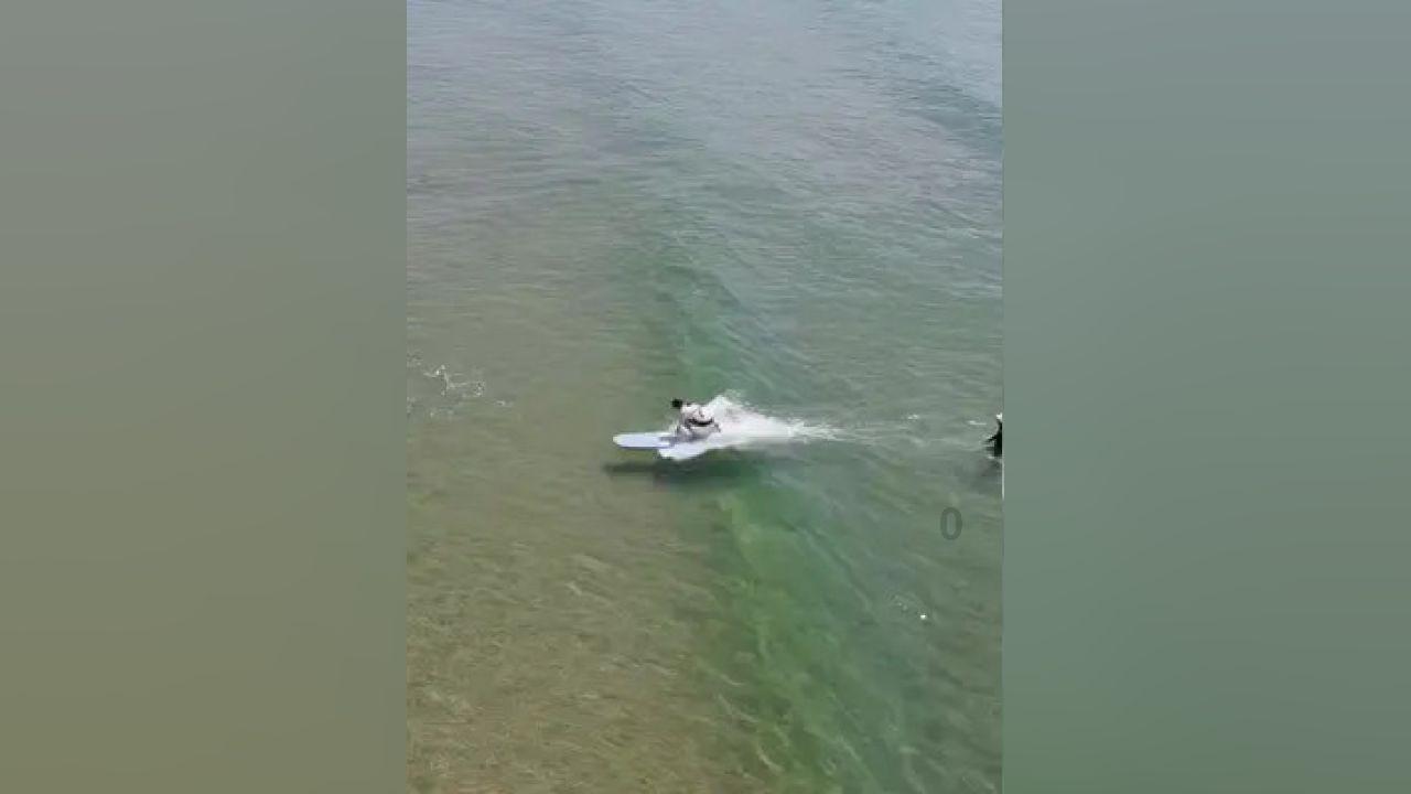 温州4人上榜!